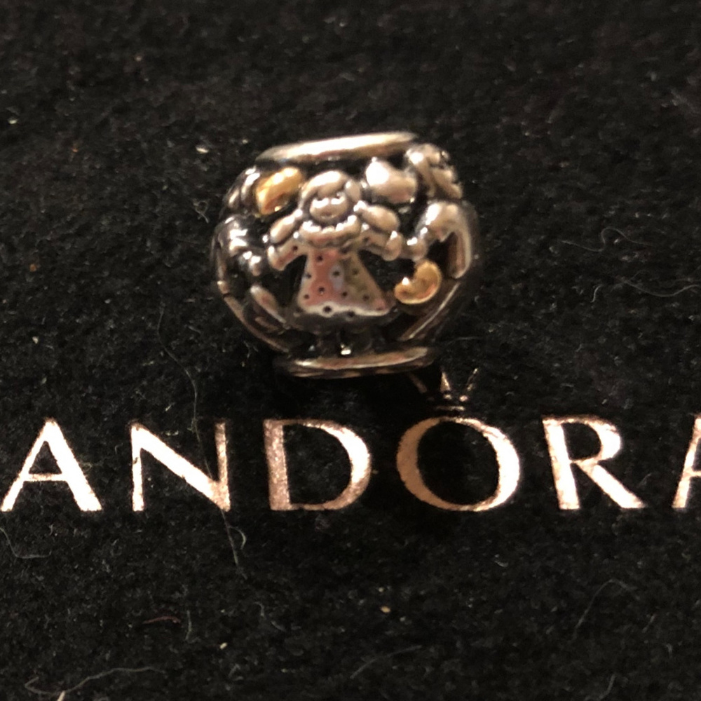 Pandora Family Circle Charm